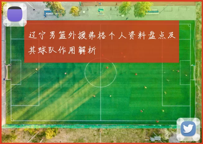 辽宁男篮外援弗格个人资料盘点及其球队作用解析