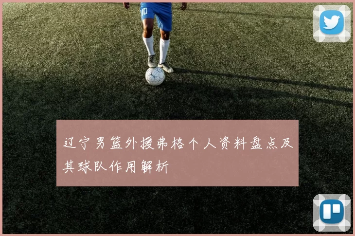 辽宁男篮外援弗格个人资料盘点及其球队作用解析
